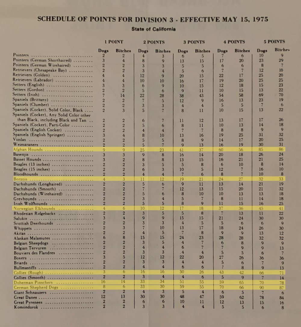 Flashback to the Glory Days